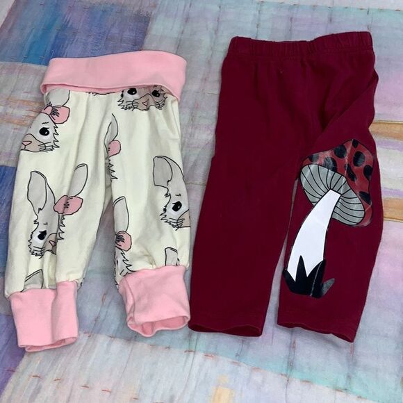 raspberry republic Other - Organic cotton legging bundle 9m